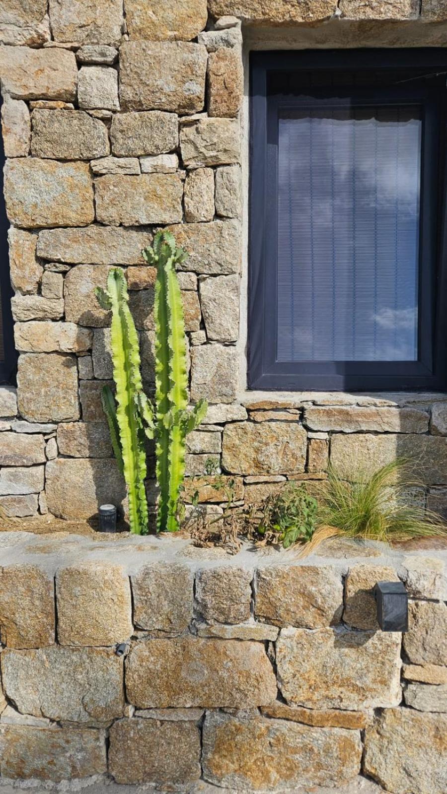 Elli Tropical Suites Mykonos Town Ngoại thất bức ảnh