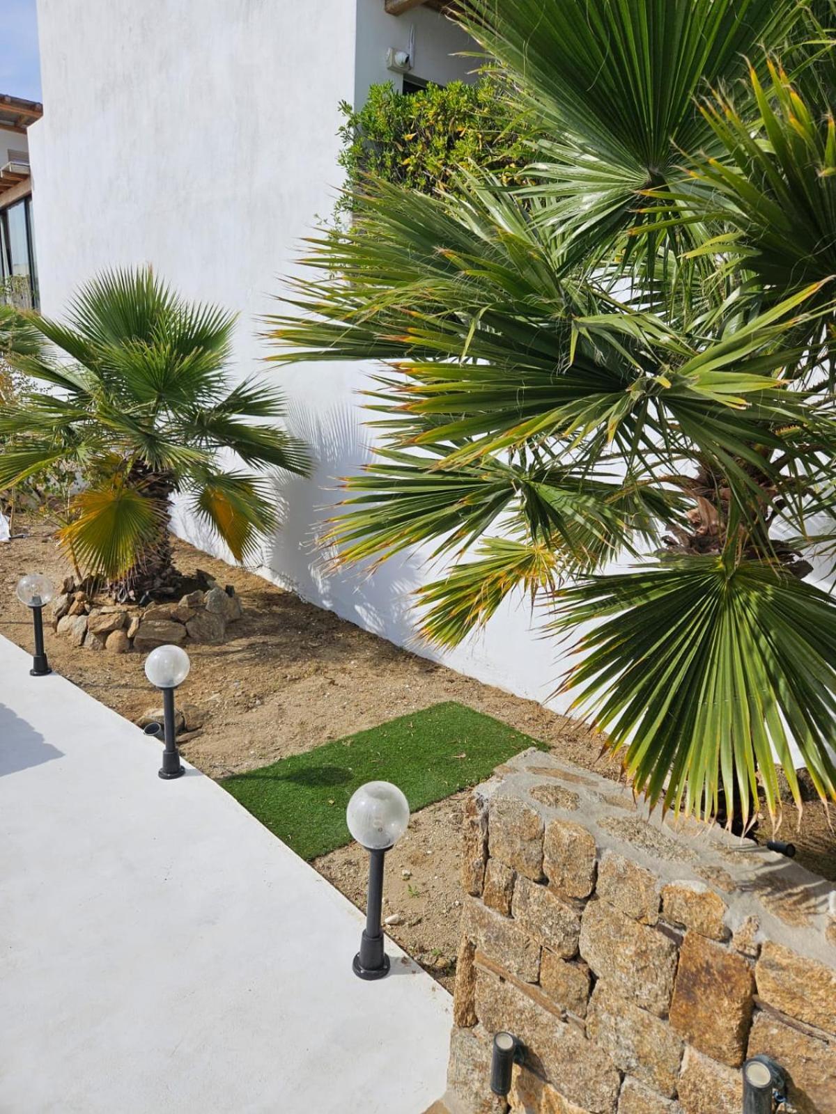 Elli Tropical Suites Mykonos Town Ngoại thất bức ảnh